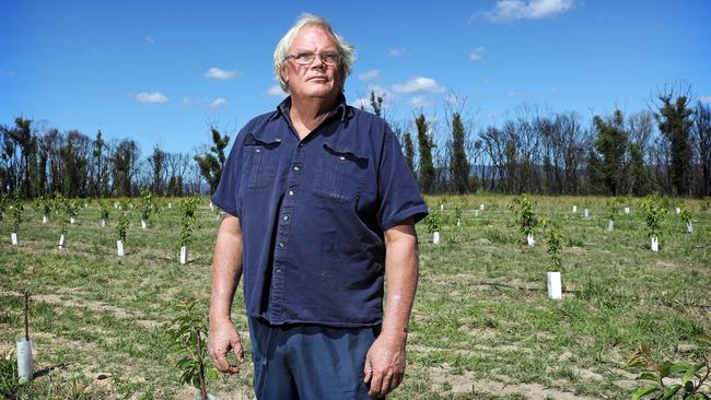 Sean Lonergan, local Bilpin RFS Captain, says recovery is tough but he's pushing on with new plantings hopefully bringing fruit within three year. Picture: Tim Hunter.