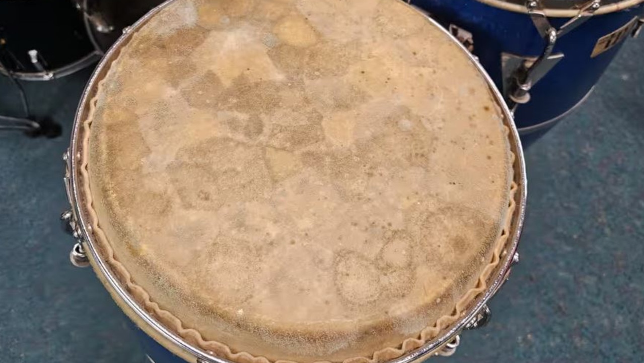 The mould even grew on drum skins. Picture: School Infrastructure NSW