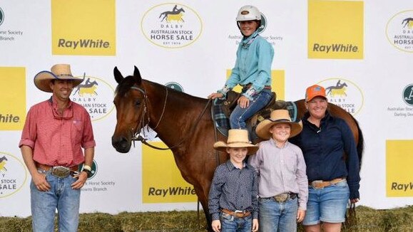 HUGE SALE: The top priced Gelding (Lot 133) at Ray White Equine Dalby Stock Horse Sale. Picture: Ray White Dalby