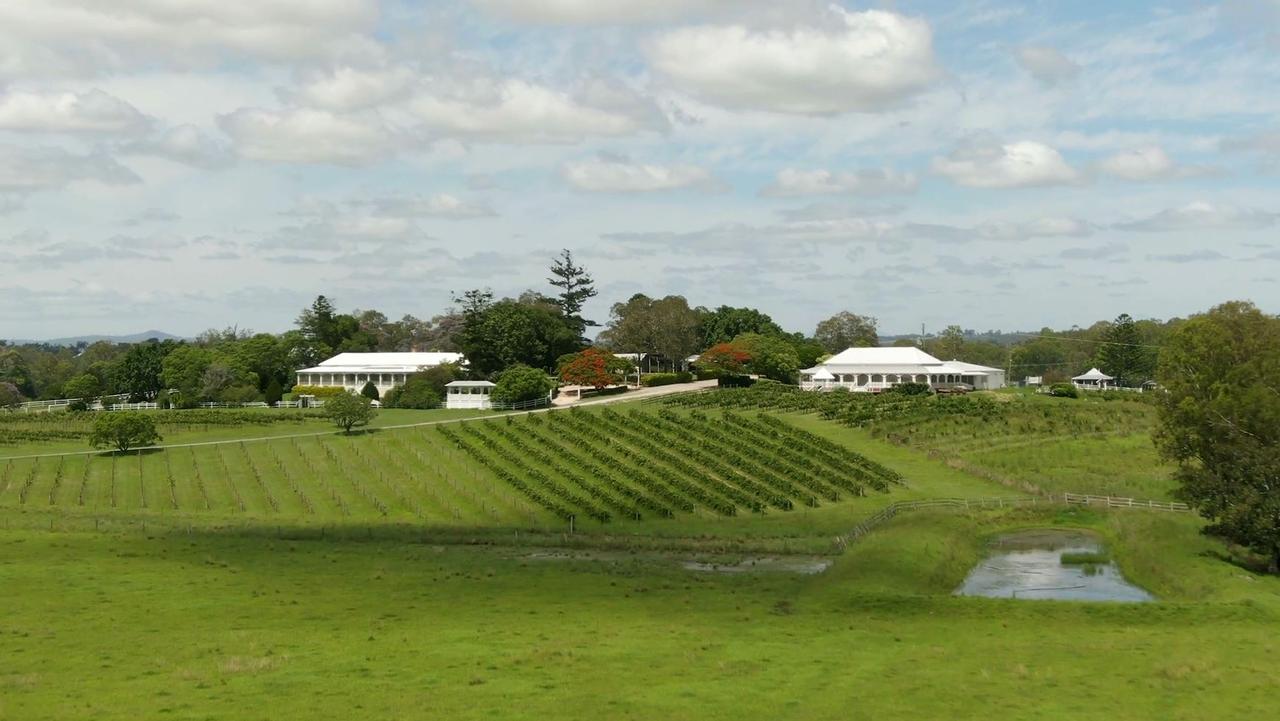 The Sarabah Estate Vineyard. Picture: Supplied