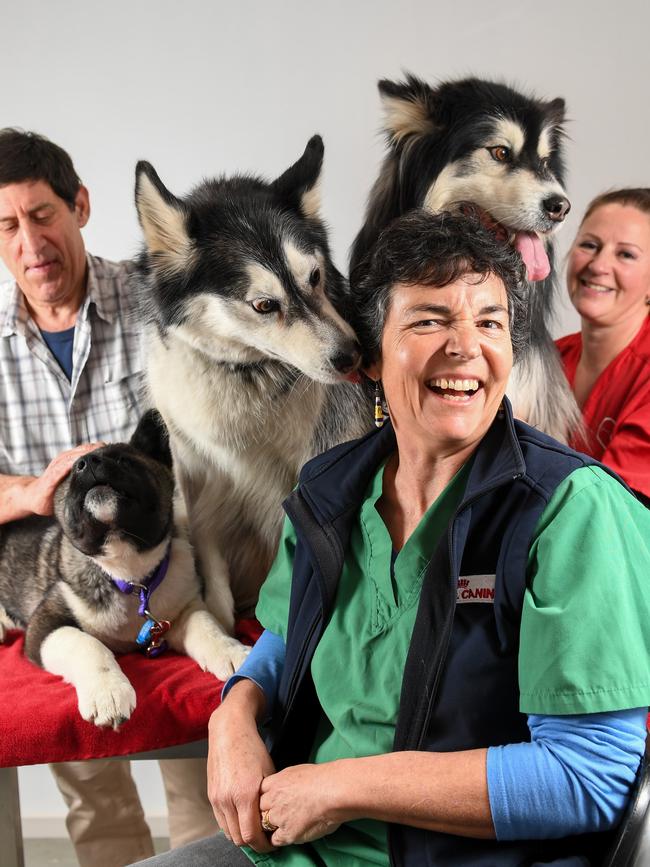 Vets Nicky Berg, David Freeman and Vet Nurse Donna Lindsay with Kaido, Bella and Boss. Picture: Penny Stephens