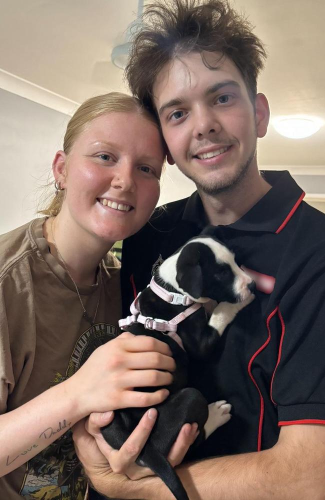 For Holly and her partner Jude it was love at first sight when they first saw Lilly, Bundaberg's cutest pup, on her breeder's website.