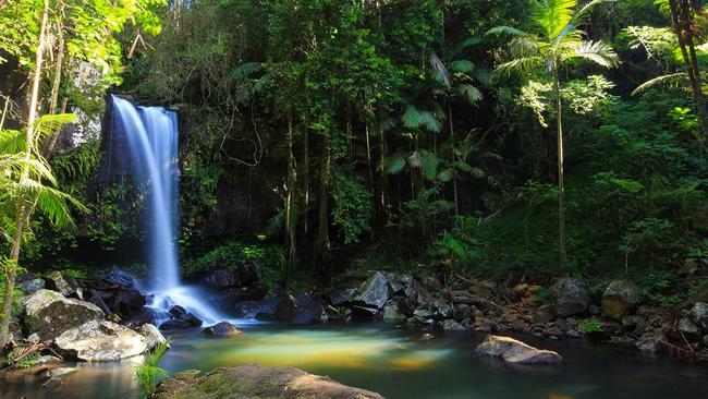 Curtis Falls PHOTO: Kynan Bates @kynanbates79