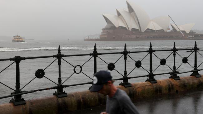 A jogger braves the rain and high winds in Sydney Cove on Friday morning. Picture: NCA NewsWire/Damian Shaw