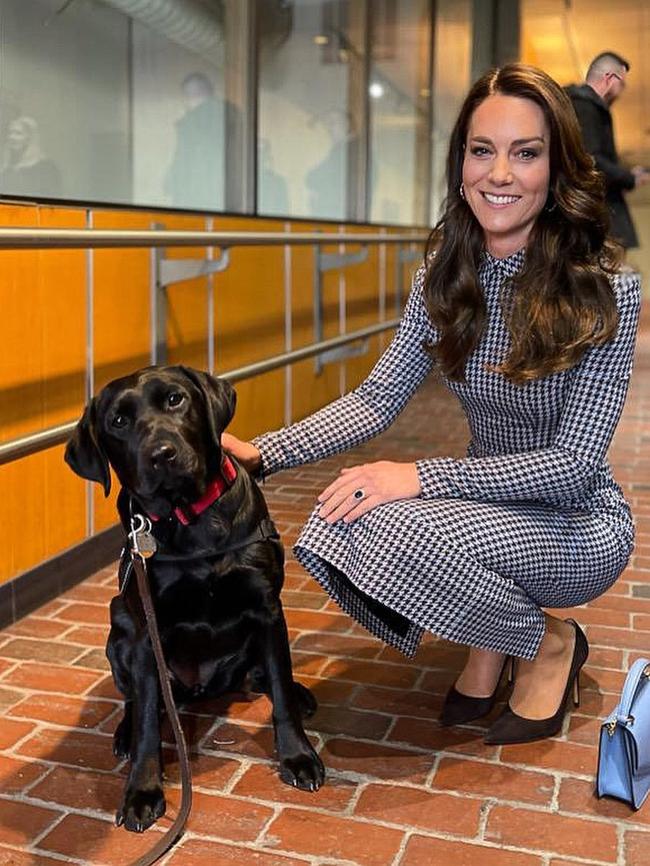 The Princess of Wales pictured with a labrador. Picture: Instagram