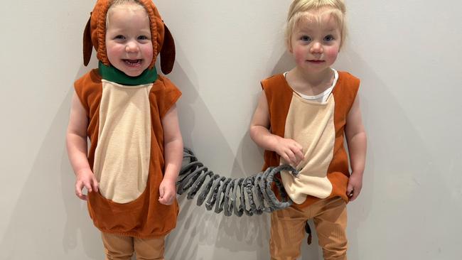 Twins Grace and Ayla, 2, dressed as Slinky from Toy Story for Book Week.