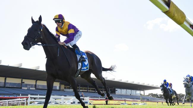 Farag cruised to victory last start at Sandown over 3000m. Picture: Pat Scala/Racing Photos via Getty Images