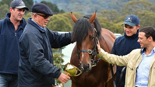 Owner Lloyd Williams shows Green Moon the Melbourne Cup he won last year.  