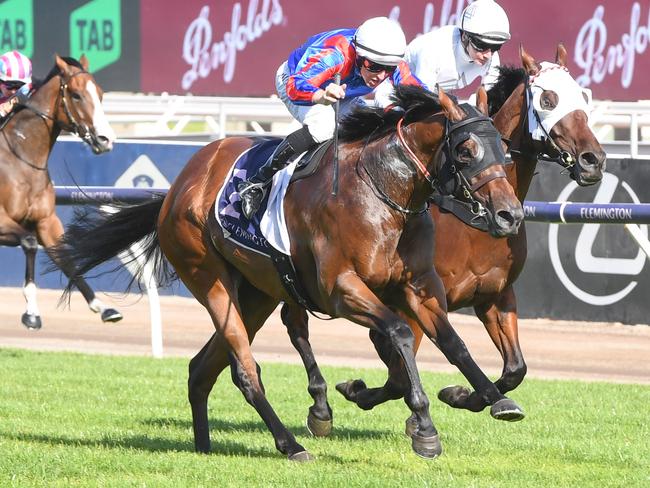 Bel Air ridden by Damian Lane wins the George Watson Handicap at Flemington Racecourse on January 01, 2024 in Flemington, Australia. (Photo by Brett Holburt/Racing Photos via Getty Images)