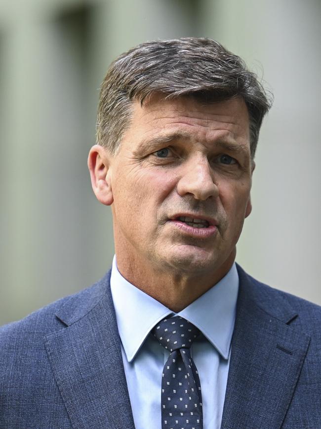 Shadow treasurer Angus Taylor said the government was failing to act on the cost of living. Picture: NCA NewsWire / Martin Ollman