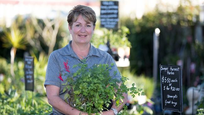 Redcliffe Garden Centre owner Gena Campbell says growing fruit and vegetables is easy. Photo: Dominika Lis