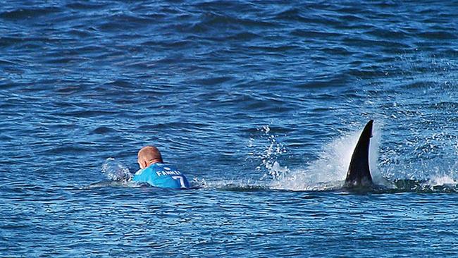 In this screen grab from footage by the World Surf League, Mick Fanning of Australia is attacked by a Shark at the Jbay Open on July 19, 2015 in Jeffreys Bay, South Africa. Photo by WSL/WSL via Getty Images