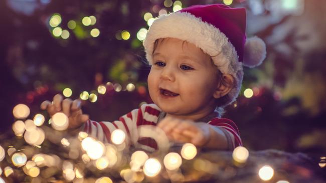 How could it ever be too early to set up a Christmas tree when you see a face like this? Picture: Istock image.