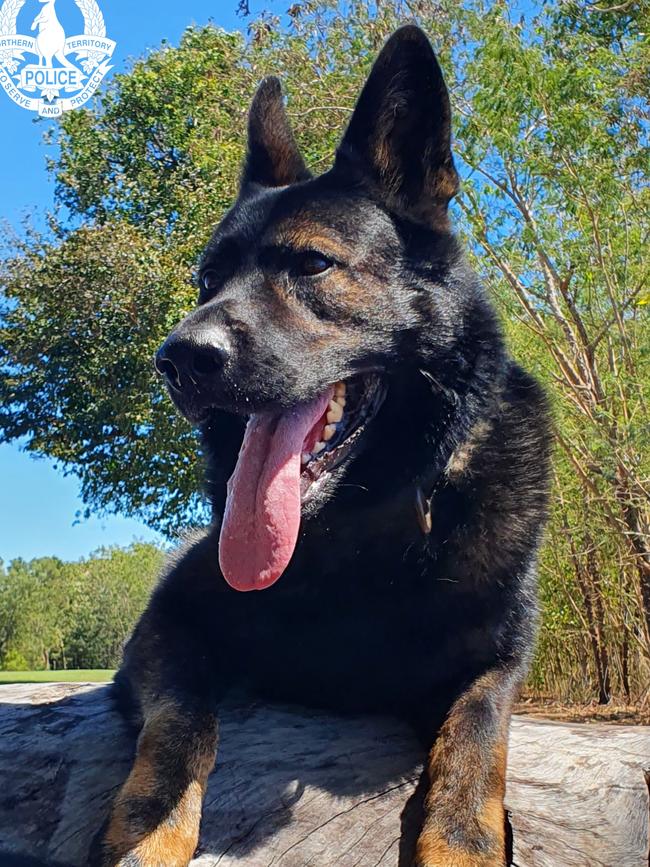 Police Dog Wedge played a major part in the search. Picture: NT PFES Media