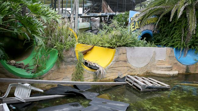 Manly Waterworks is overgrown and fulled with debris. Picture: Troy Snook