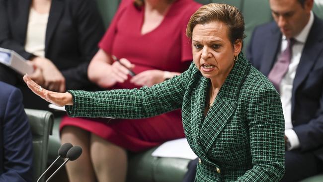 Minister for Communications Michelle Rowland said the proposed legislation was aimed at protecting Australians from the growing threat. Picture: NCA NewsWire / Martin Ollman