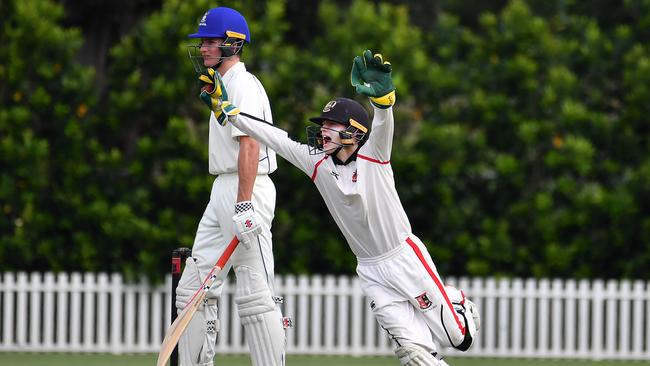 St Joseph's Gregory Terrace celebrate a wicket. Picture, John Gass