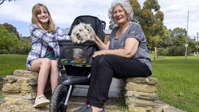 Letitia Lamprell isn’t embarrassed to walk Buddy in a stroller. “He thinks he’s the king” when he’s in there, she says. Picture: Kelly Barnes