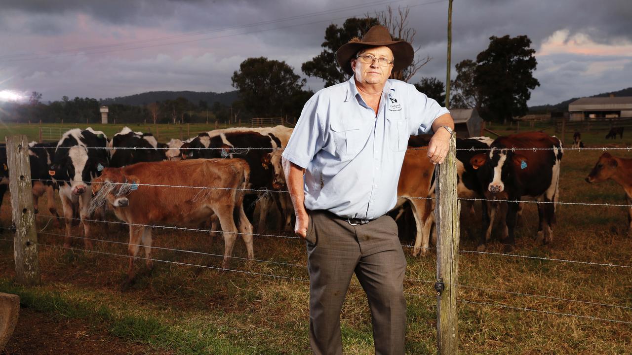 Kenilworth Dairies Owner John Cochrane on 'Kelvindale' dairy Farm at Kandanga. Photo Lachie Millard