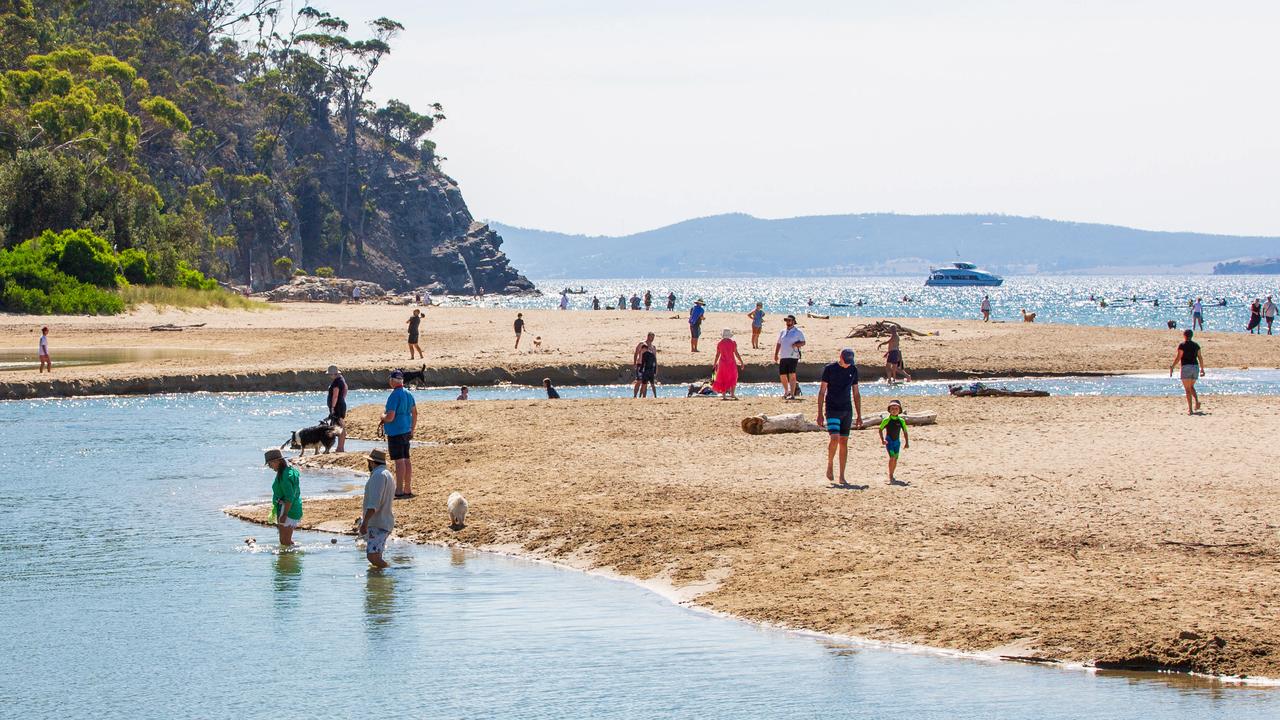 Sun’s out, tongues out: Tasmanian heatwave prompts RSPCA warning