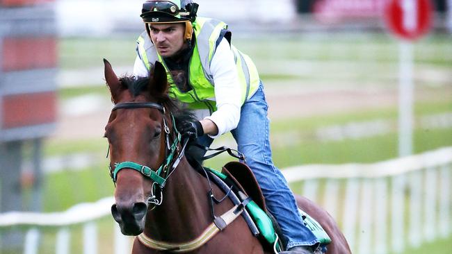 Artlee has a hitout with trainer Todd Willan in the saddle. Picture: Liam Kidston