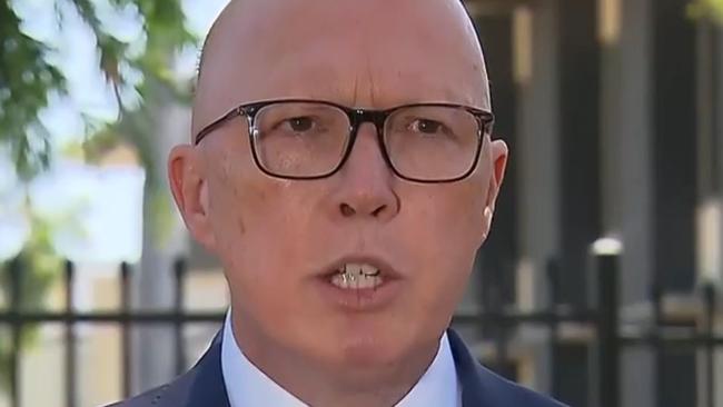 Opposition Leader Peter Dutton. Picture: Sky News