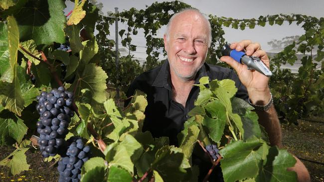 Wobbly Boot Vineyard owner Paul Williams uses a refractometer to check the sugar content of his pinot grapes. PICTURE: Luke Bowden