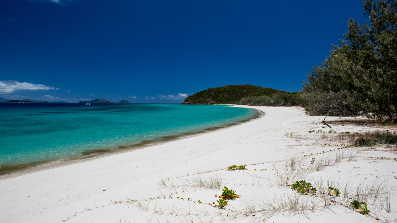 Four people feared dead in helicopter crash off Hamilton Island