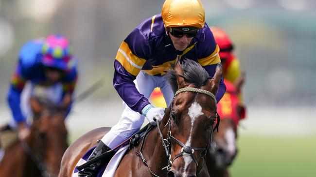 Shelby Cobra, ridden by Ben Melham, wins the second race at Flemington.