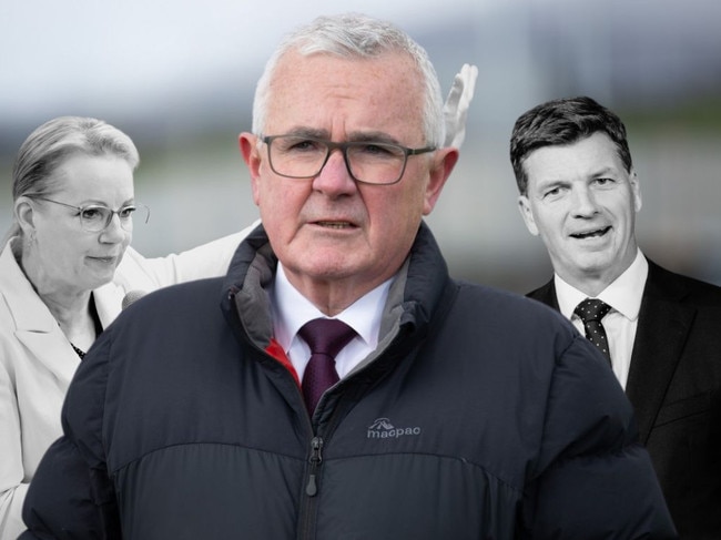 Wilkie on opposition's future after election