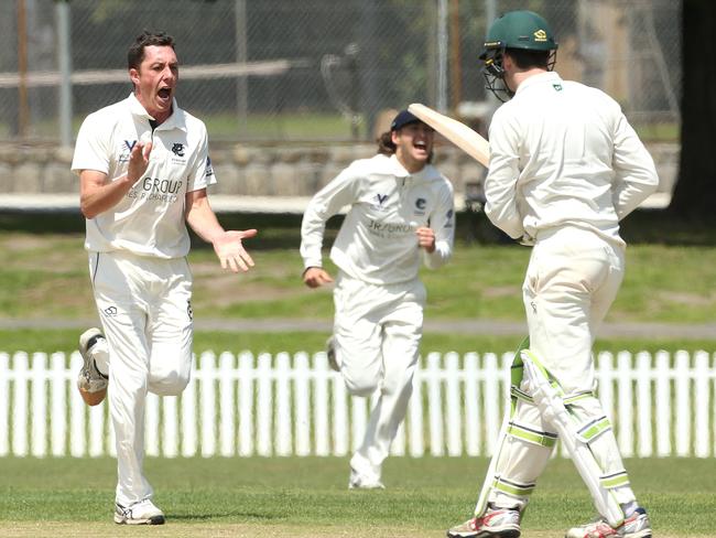 Andrew Perrin celebrates the wicket of Ben Rowles. Picture: Hamish Blair