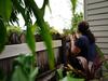 ‘Aggressive invasion’: Teenagers’ terror as thieves break in