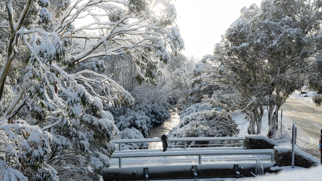 There has been heavy snowfall at Thredbo throughout the weekend. Picture: Supplied.