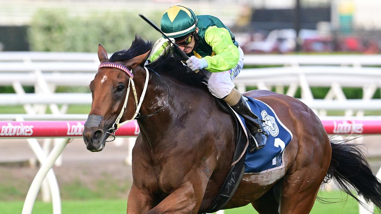 Yellow Brick back on road for Sydney riches