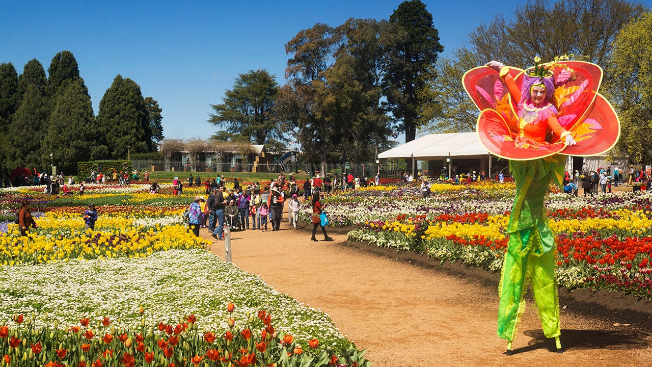 It's spring and Floriade is in full swing. For an easy one-day trip, tours are now on sale through Escape Deals. Picture: iStock