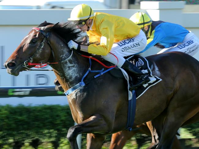 Race 5 - James Orman rides #15 Cruising Speed to win race 5. Doomen races (Tattersals Race Day). Pic Mark Cranitch.