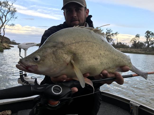 Chris Miller with a tagged golden perch caught at Ramcopicture -  RecFishSA. Mick Wilson.