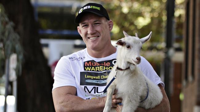 Gal brought his pet goat Lucas to Wednesday’s press conference.