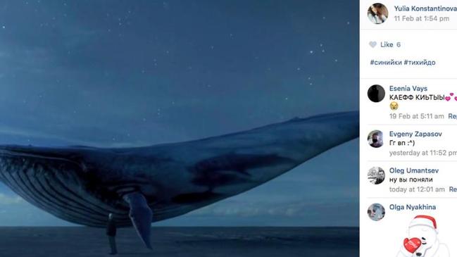 Tragic schoolgirl Yulia posted this picture of a blue whale shortly before jumping to her death.