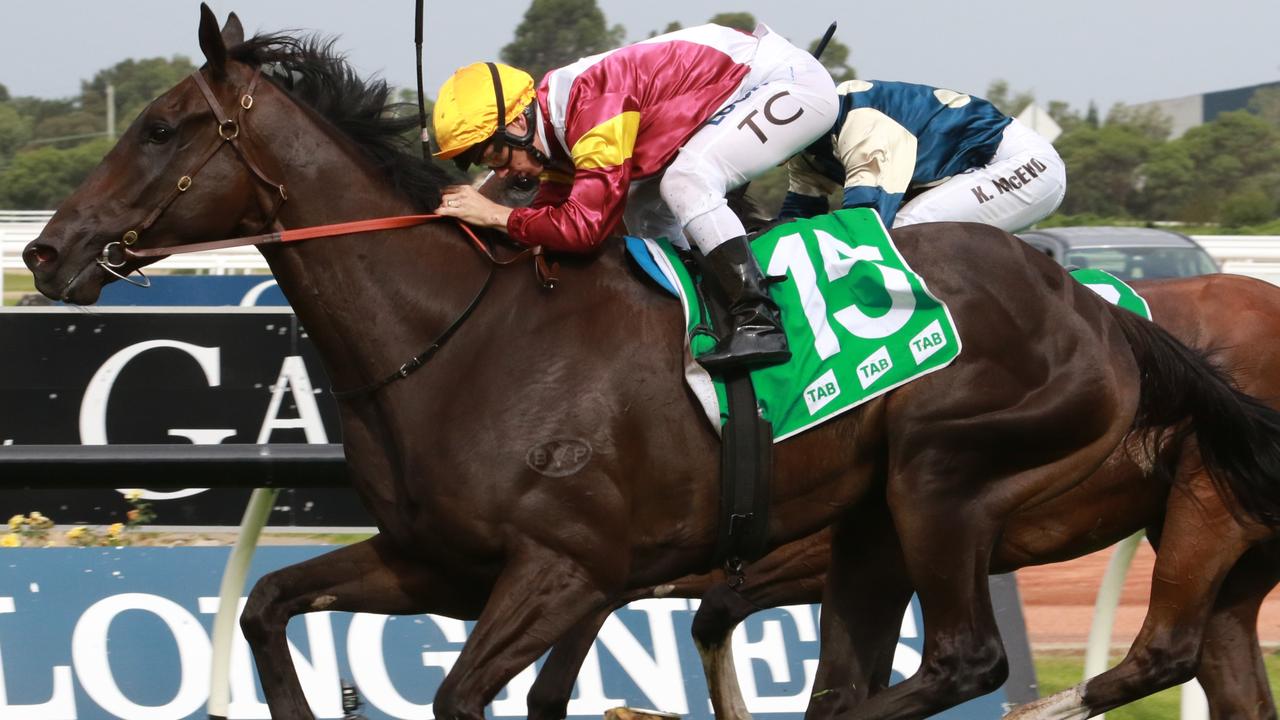 Cyber Intervention winning at Randwick. Picture: Grant Guy