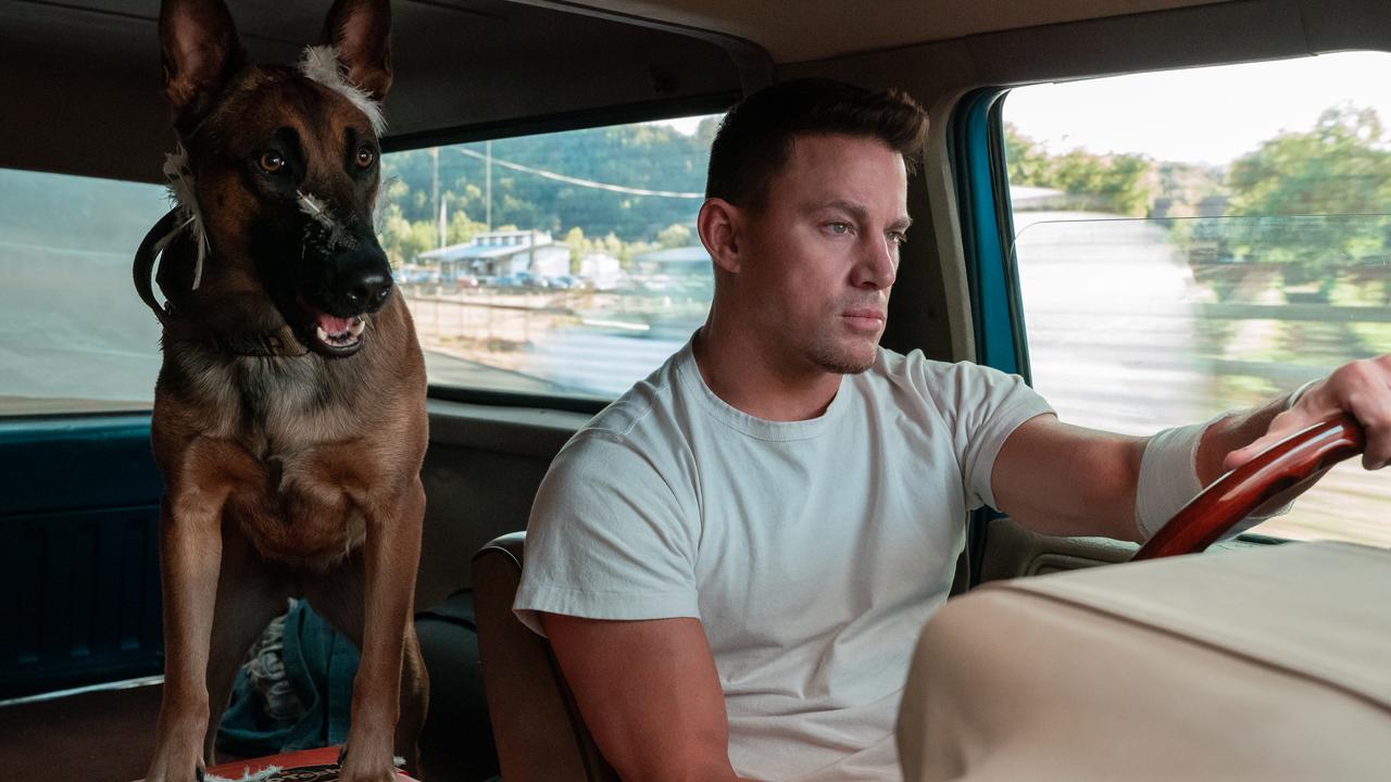 Dog Review: Channing Tatum Pulls Out Stops To Woo Stroppy Leading Lady 