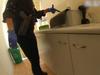Moment police launch drugs raid on mum’s home