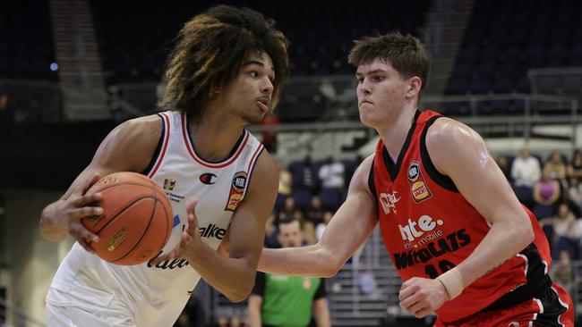 Trentyn Flowers of the 36ers dribbles the ball under pressure from Ben Henshall of the Wildcats. Picture: Getty Images