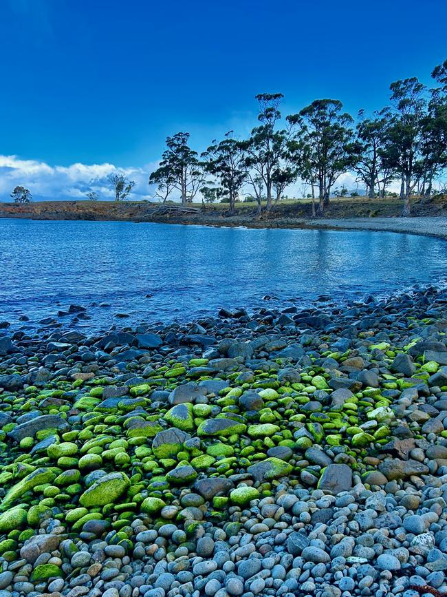 East Coast Tasmania coastal walks. Photo: Elizabeth Meryment