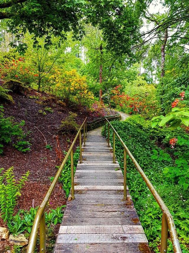 Mt Lofty Botanical Garden. Picture: MaryJane @mary._.jane1/Instagram.