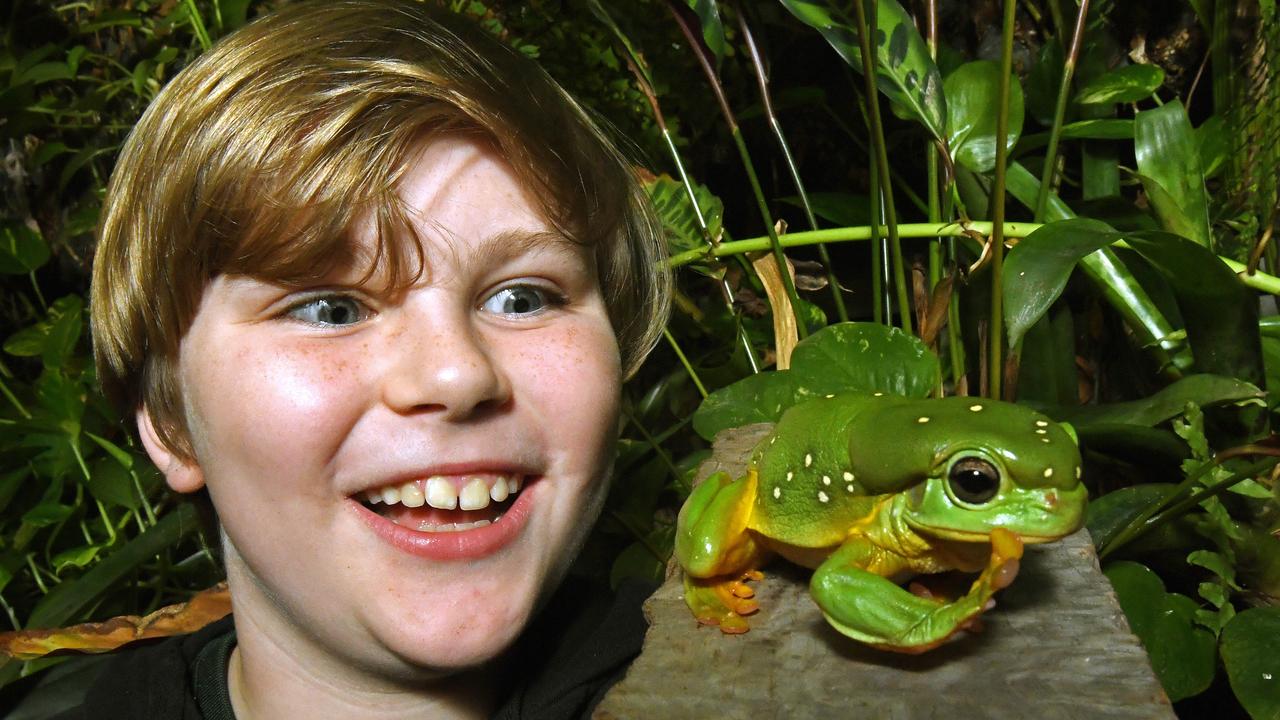 Frog ID Week Use a phone app to join SA’s great frog census