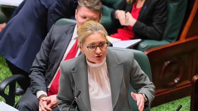 Victorian Premier Jacinta Allan speaks during question time in the Legislative Assembly. Picture: NCA NewsWire / Luis Enrique Ascui