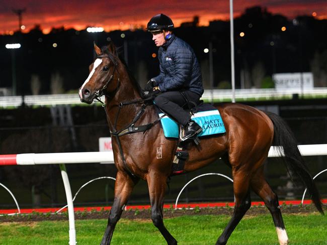 MELBOURNE, AUSTRALIA - AUGUST 20: Mark Zahra riding Coleman during track gallops at Moonee Valley Racecourse on August 20, 2024 in Melbourne, Australia. (Photo by Vince Caligiuri/Getty Images)