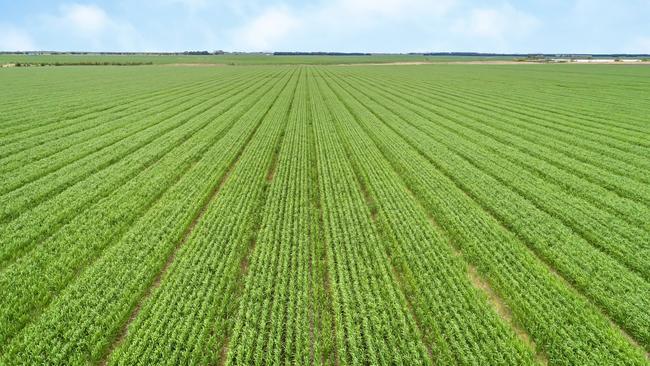 The 3353ha Woorndoo aggregation near Lake Bolac was offered by the Laguna Bay Agricultural Fund.