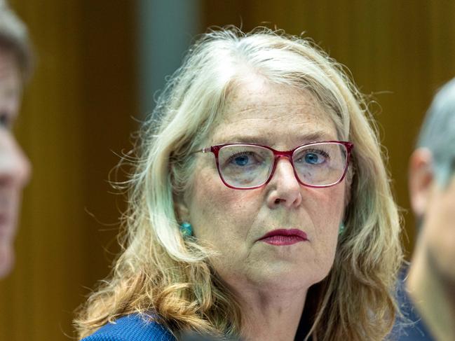 DFAT boss Jan Adams. Picture: NCA NewsWire / Gary Ramage